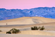Sand Dunes