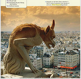 Gargoyle, Notre Dame, Paris
